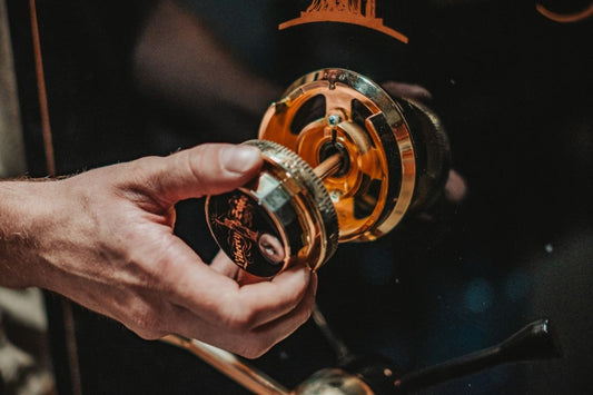 EMP-Proof Gun Safe Lock