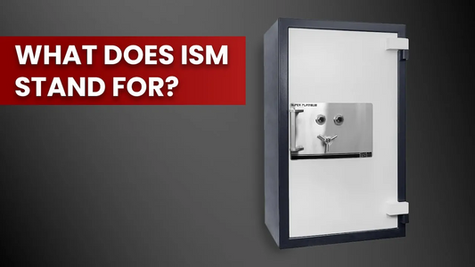 What Does ISM Stand For