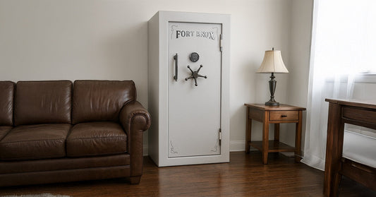 Fort Knox Protector in a Home