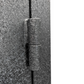 EHS4