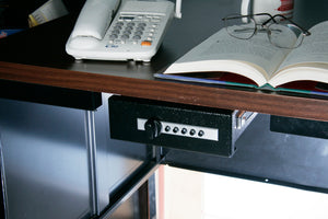 Titan Compact Pistol Vault  a handgun safe that won’t let you down!